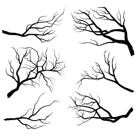 Branch Silhouettesのイラスト素材