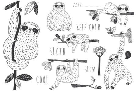 Sloth Hanging on Tree Doodle Collection setのイラスト素材