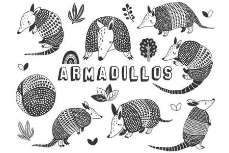 Cute Little Armadillos Doodle Collections Setのイラスト素材