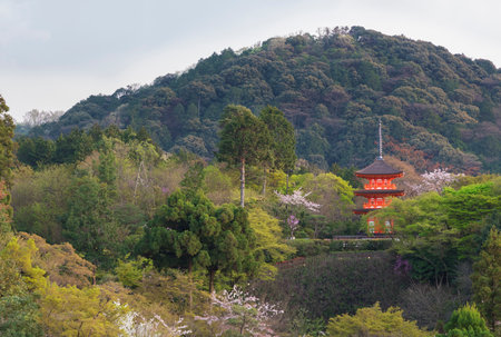 tall pagoda tower in Kiyomizu Temple in Kyoto Japan.のeditorial素材