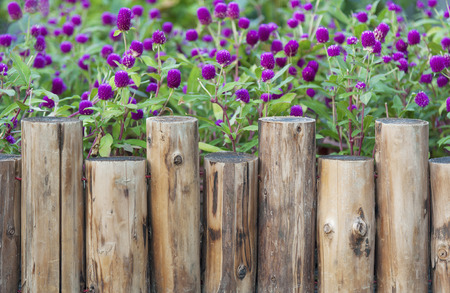 Wooden fence in Gardenの写真素材