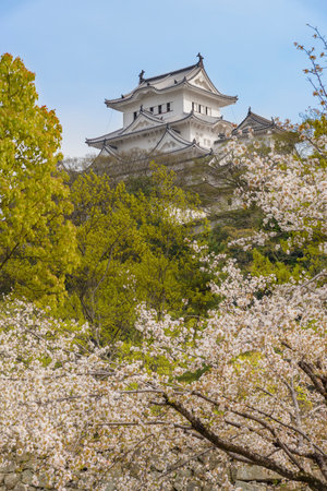 himeji castle in Japanのeditorial素材