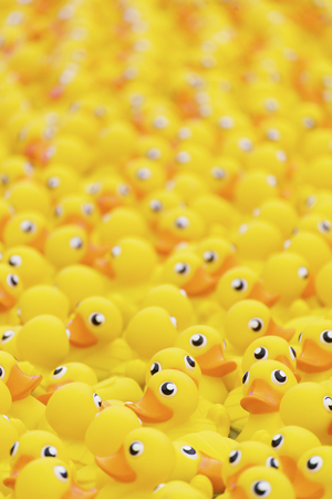 yellow toy duck floating in swimming poolの写真素材