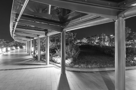 Empty pedestrian walkway in park at nightの写真素材