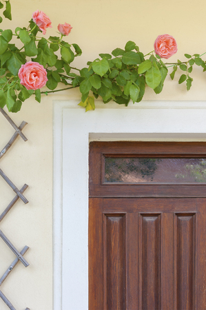 Door entrance of residential house with rose flower and fenceの写真素材