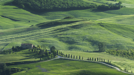Stunning Landscape in Tuscany, Italyの写真素材