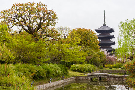 Garden in Ninna-ji temple, Kyoto, Japan