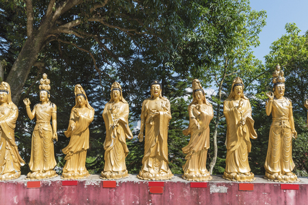Guanyin Buddha Statue in Ten Thousand Buddhas Monastery in Hong Kongの写真素材