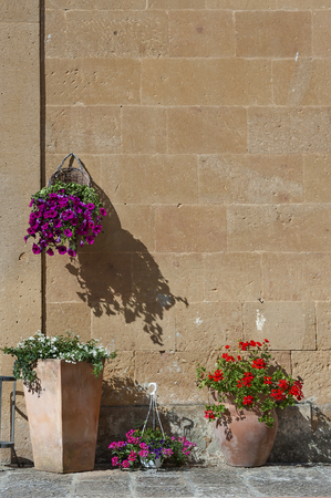 Flower pot on old brick wall in Pienza,Tuscany, Italyの写真素材
