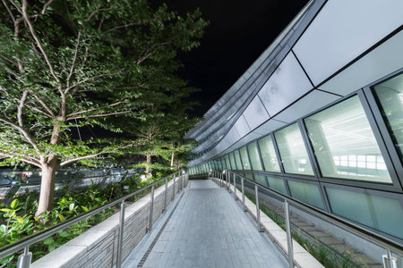 Modern pedestrian walkway in public park  at night