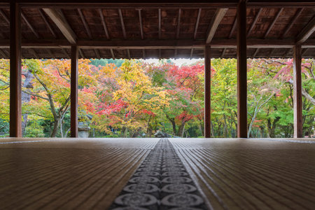 idyllic garden in Zuiganzan Enkouji Temple, Kyoto, Japan in autumn seasonのeditorial素材