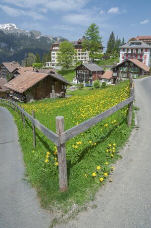 Rural scenery of Wengen, Swissの写真素材