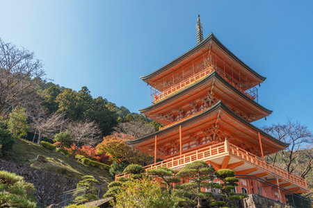 Scenic view of Seiganto-ji Temple at Nachi Katsuura, Wakayama, Japanのeditorial素材