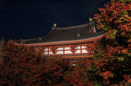 Historical Japanese building in autumn season at nightのeditorial素材