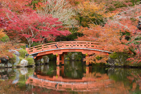 Bridge in Garden in Autumn season in Kyoto, Japanのeditorial素材