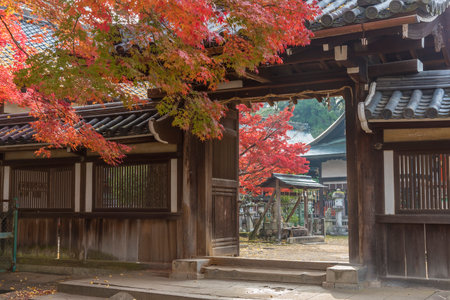 Historical building in Nara, Japan in autumn season