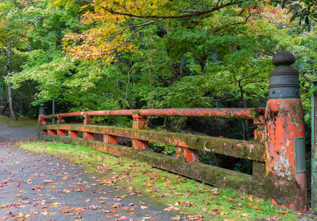 Old historical bridge in forest in Kyoto, Japan