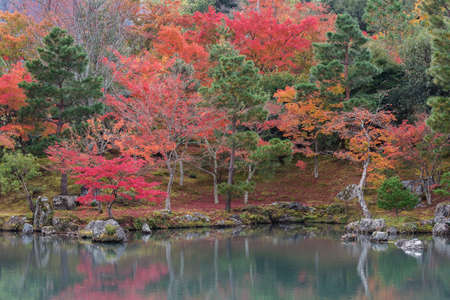 Idyllic landscape of Arashiyama, Kyoto, Japan in autumn season