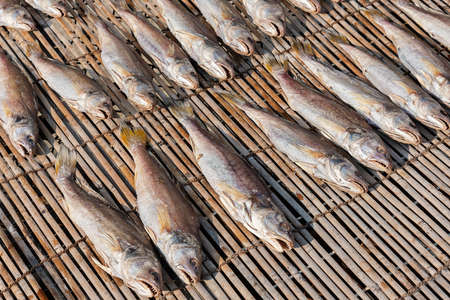 Traditional process of sun making dried fish in fishing village Tai O, Hong Kongの写真素材