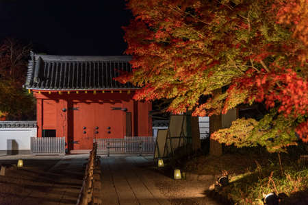 Entrance of traditional Japanese house in autumn season at nightの写真素材