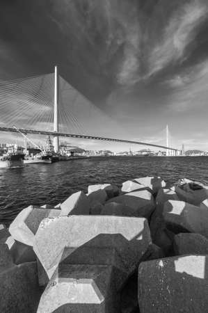 Cargo port and bridge in Hong Kong cityの写真素材