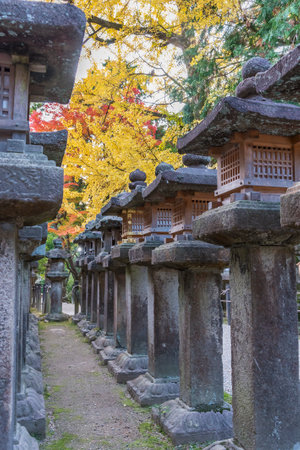 Stone lantern in Japanese shrine in Nara, Japanのeditorial素材