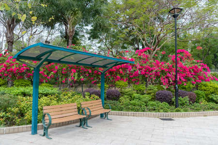 Empty seat with colorful flower background in public parkの写真素材