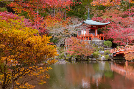 Beautiful japanese garden with colorful maple trees in Daigoji temple in autumn season, Kyoto, Japanのeditorial素材