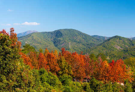 Idyllic landscape of country park Tai Tong in Yuen Long, Hong Kong in autumn season