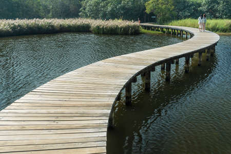 Tourist walking on wooden trail in Hong Kong wetland parkの写真素材