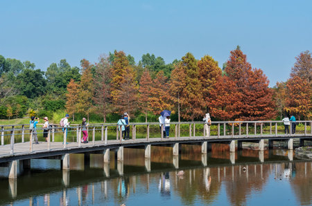 Hong Kong, China - January 06, 2022 : Wooden trail in landmark Hong Kong Wetland Parkのeditorial素材