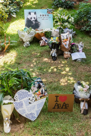 Hong Kong, China - July 24, 2022 : An An, the oldest known male giant panda, passed away in 21 July...