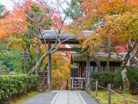 idyllic landscape of Garden in Saga Toriimoto, Arashiyama, Kyoto, Japan in autumn season