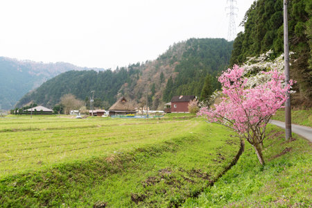 Rural landscape of Historical village Miyama in Kyoto, Japanの写真素材