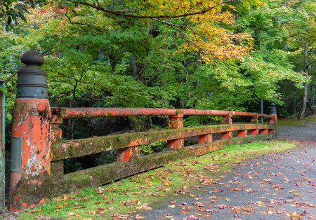 Old historical bridge in forest in Kyoto, Japanの写真素材
