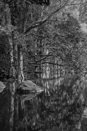 Idyllic landscape of country park Shing Mun reservoir in Hong Kongの写真素材