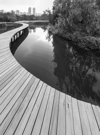 Wooden trail in Hong Kong wetland parkの写真素材