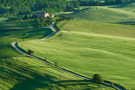 idyllic Landscape in Pienza, Tuscany, Italyの写真素材
