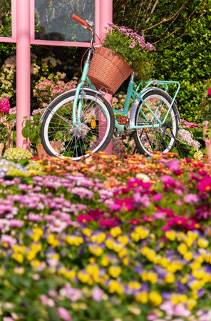 bicycle in flower lane. street or garden decoration ideaの写真素材