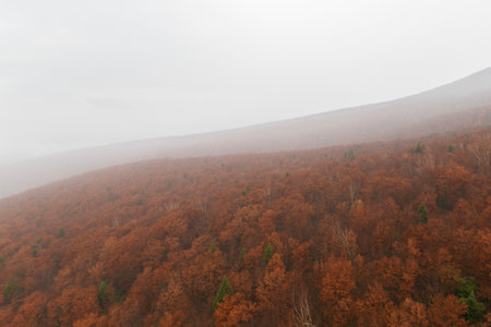 Aerial view of Mount Hakkoda in autumn, Aomori prefecture, Tohoku region, Japan.