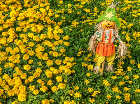 Cute scarecrow in colorful flower garden. Nature backgroundの写真素材