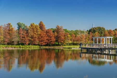 Scenery of Hong Kong wetland parkの写真素材