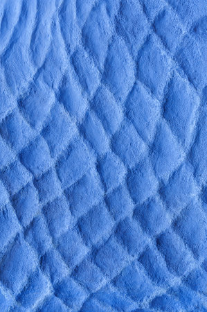 Background texture of sand. Natural abstract backgroundの写真素材