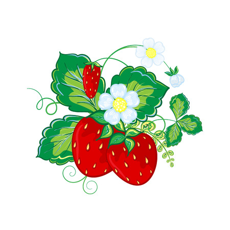 Strawberries vector hand draw cartoon illustrations on white backgroundのイラスト素材