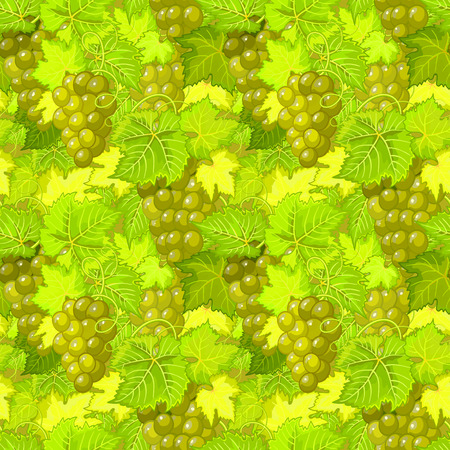 vector seamless pattern with grapes and leaves. Hand drawing branch of grapes illustration in greenのイラスト素材