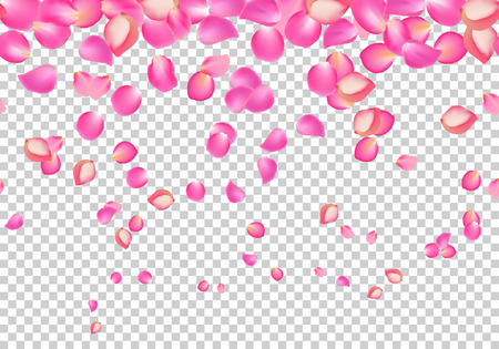 Vector falling rose pink petals. Floral backgroundのイラスト素材