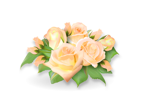 Roses bouquet. Tea-rose delicate yellow pink bouquet. Realistic rose. Not trace. Vector eps 10.のイラスト素材