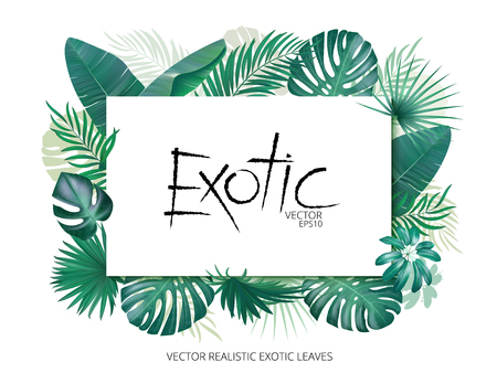 Summer tropical background with exotic palm leaves and plants. Banner template, Vector floral background.のイラスト素材