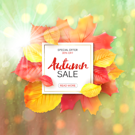 Sale banner with bright autumn leaves. Vectorのイラスト素材