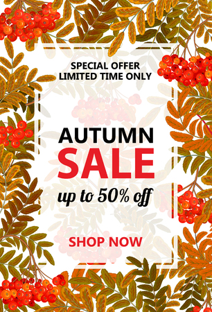 Seasonal autumn sale vertical banner with inscriptions and hand drawing autumnal red rowan, vector illustrationのイラスト素材